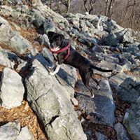 Brian Mccray Photo 23