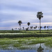 Dawn Rice Photo 14