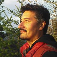 Michael Viola Photo 27