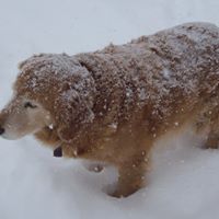 Nancy Backus Photo 16