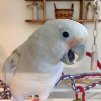 Terri Patrick Photo 28