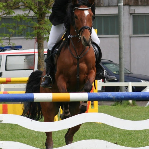 Sandra Eberle Photo 4