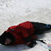 Eric Scherbarth Photo 6