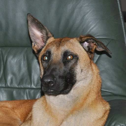 Glenn Robbins Photo 40