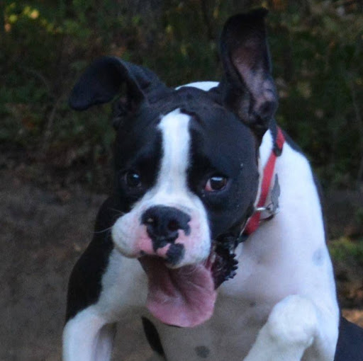 Laurie Shultz Photo 5