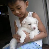 Dean Rodriguez Photo 17