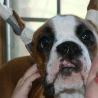 Kathy Mcgehee Photo 8