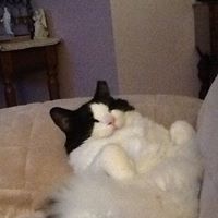 Beverly Cox Photo 17 Beverly Cox Photo 17