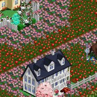 John Mccolgan Photo 27 John Mccolgan Photo 27