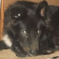 Tom Sharp Photo 5 Tom Sharp Photo 5