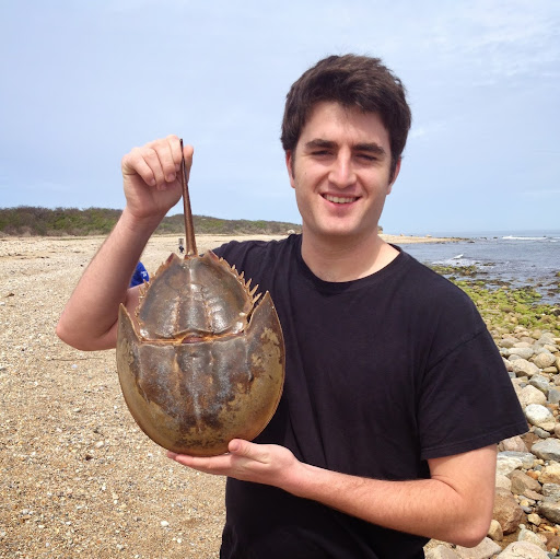 Nicholas Morrison Photo 17