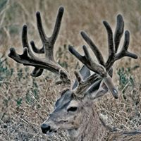 Eugene Fischer Photo 20