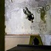 Robert Leib Photo 21