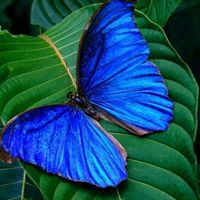 Andrea Groves Photo 16