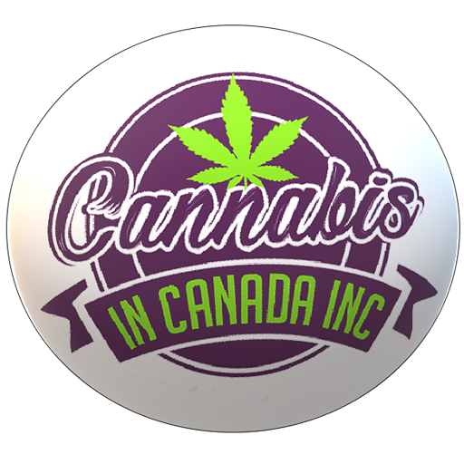 Jason Wilcox Photo 33