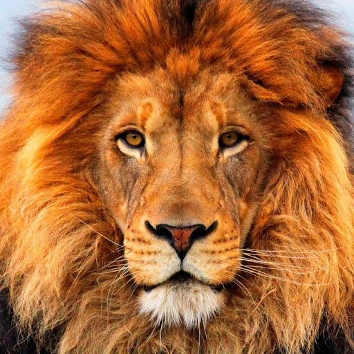 Nilesh Parikh Photo 27