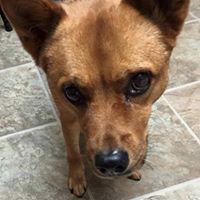 Suzanne Richardson Photo 22