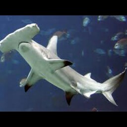 Tommy Winters Photo 33