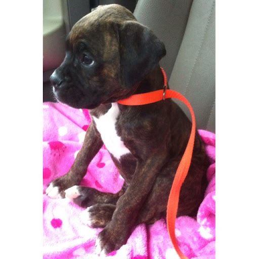 Nancy Henson Photo 36