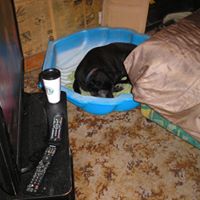 Catherine Collins Photo 19