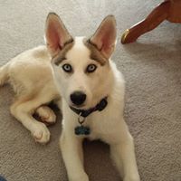 Carl Proctor Photo 8