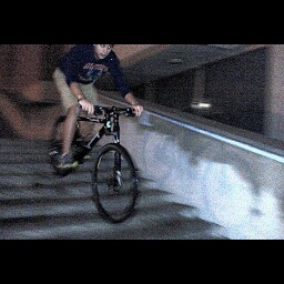 Daniel Bartholomew Photo 15