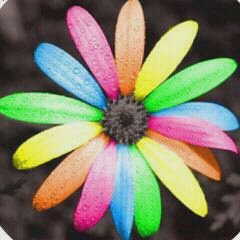 Natalie Hickman Photo 12