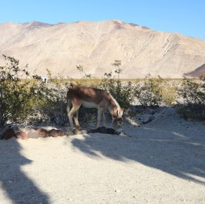 Vicki Hudson Photo 24