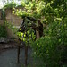 Deborah Kemper Photo 19