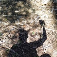 Eddie Morales Photo 38