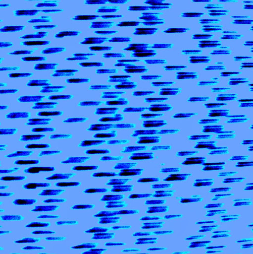 Shawn Briggs Photo 13