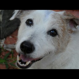 Cindy Perkins Photo 33