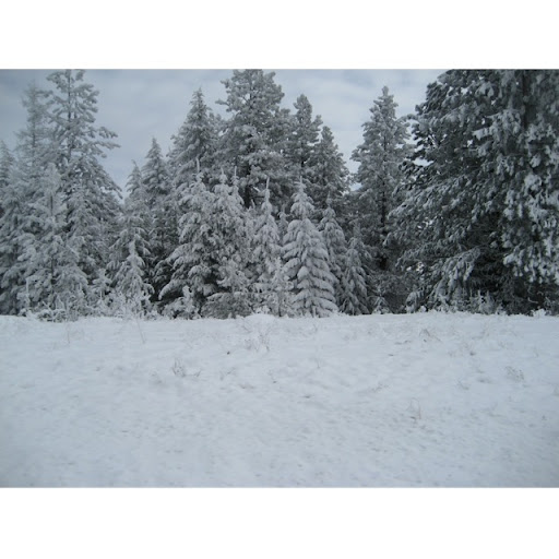 Katie Kroll Photo 15