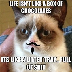 Matthew Voss Photo 22