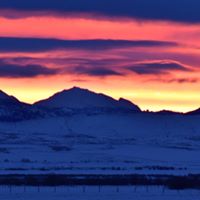 Debra Noble Photo 36