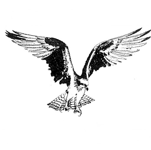 Candace Cornell Photo 4