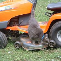 Nancy Staton Photo 10