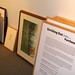 Elizabeth Layton Photo 38