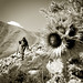 Tanya Flowers Photo 36