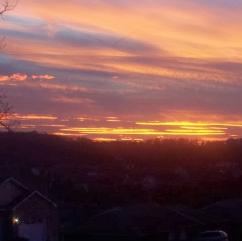 Christy Ford Photo 24