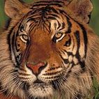 Christine Firth Photo 9