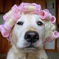 Robin Hembree Photo 13