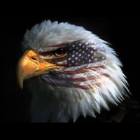 Nancy Dunbar Photo 16 Nancy Dunbar Photo 16