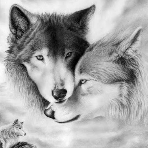 Susan Albright Photo 15