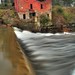 Lori Mills Photo 6