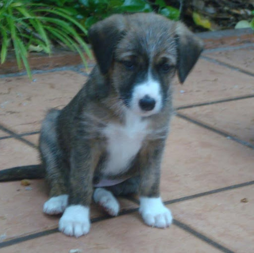 Nicolas Martinez Photo 29