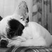 Frances Hice Photo 4
