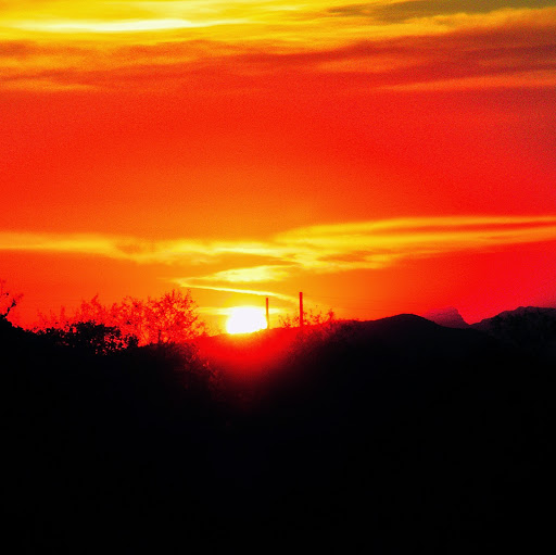 Kelly Blevins Photo 22