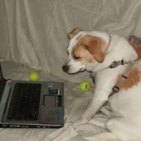 Cindy Hughes Photo 16