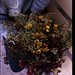 Carol Meadows Photo 13